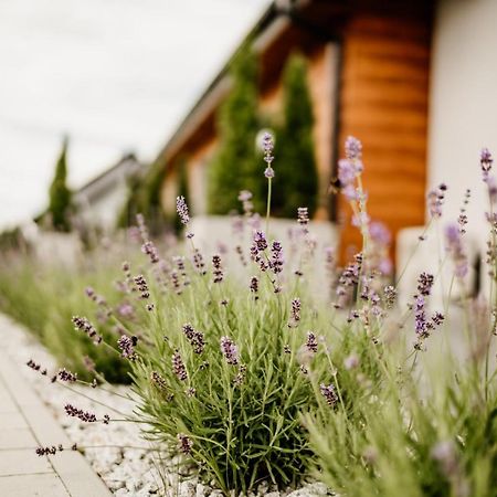 Roza Rooms Zator Εξωτερικό φωτογραφία